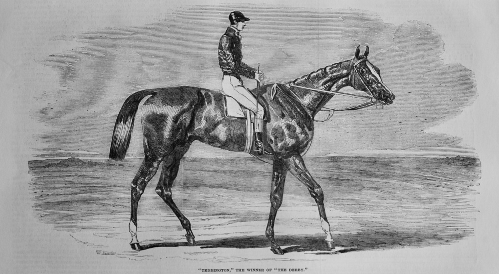 "Teddington,"  the Winner of "The Derby."   1851.