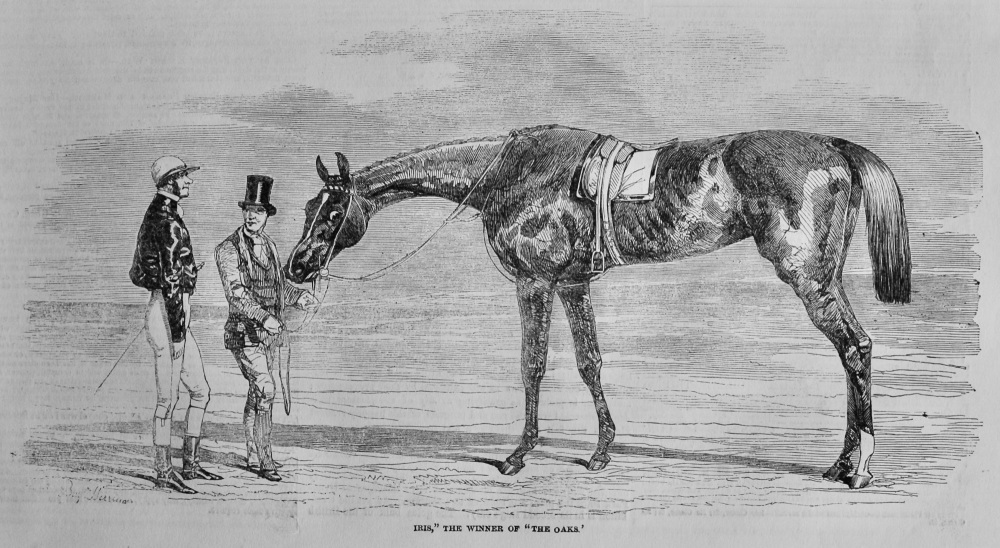 "Iris,"the Winner of "The Oaks."   1851.