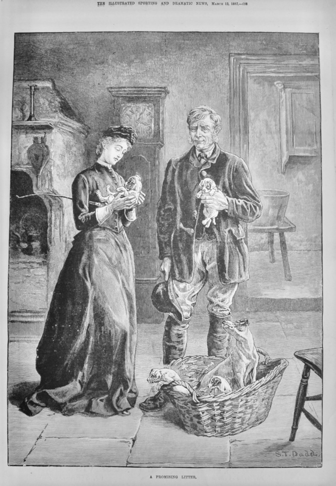 A Promising Litter.  1887.