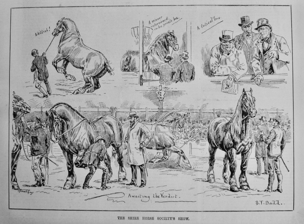 The Shire Horse Society's Show.  1887.