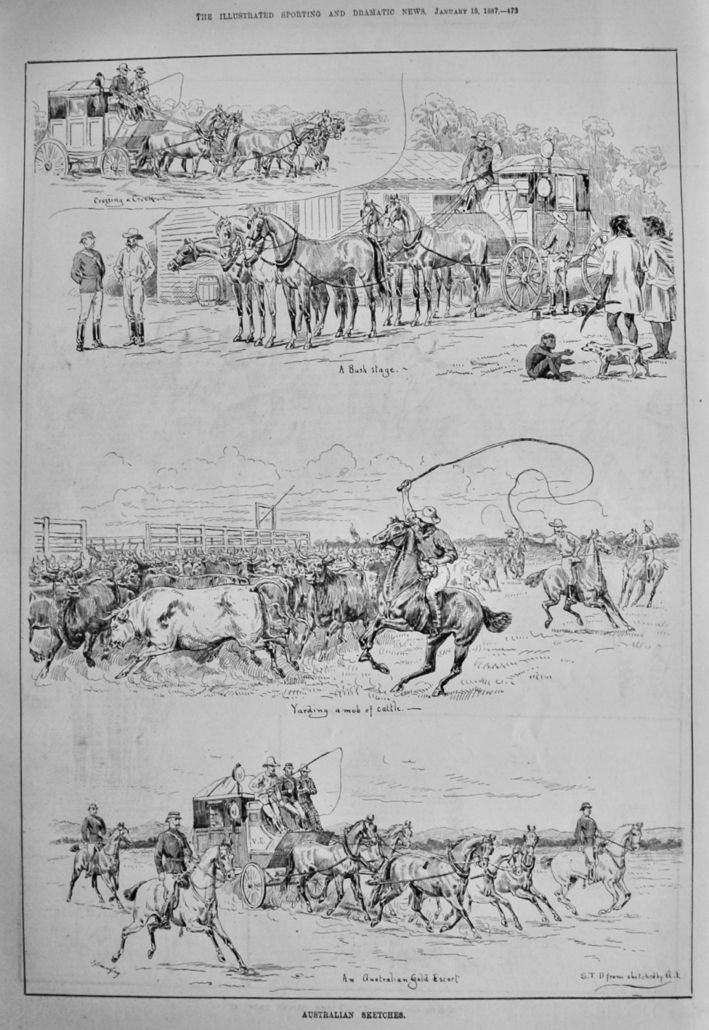 Australian Sketches.   1887.