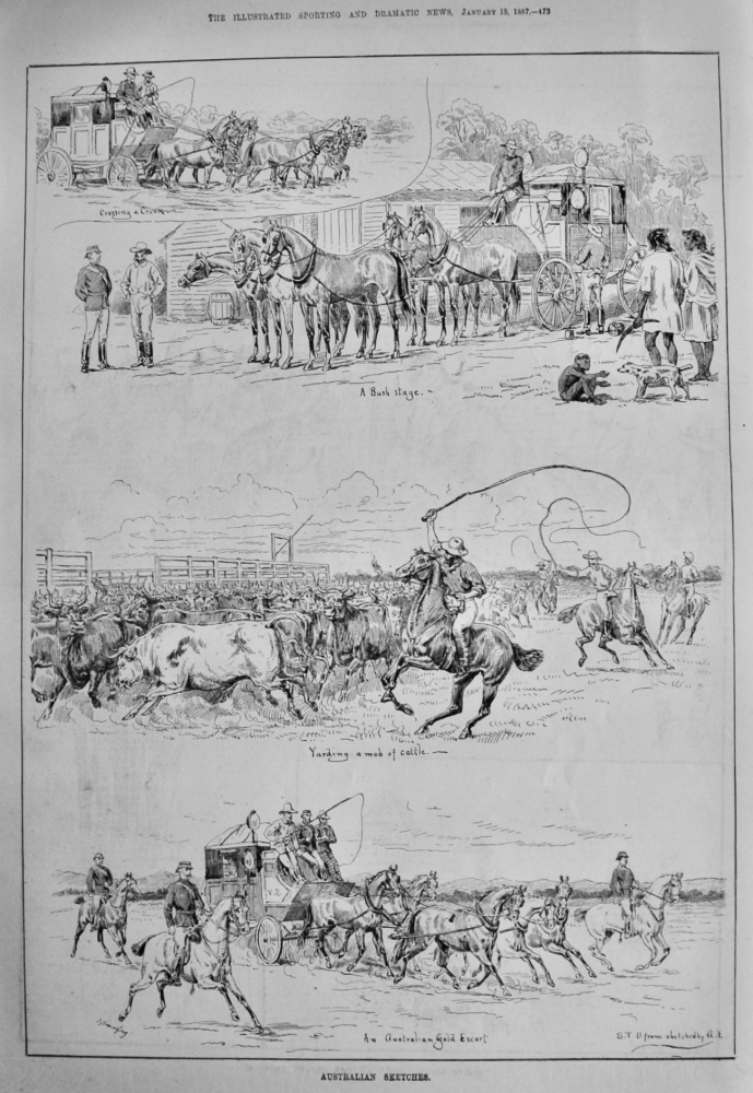 Australian Sketches.   1887.