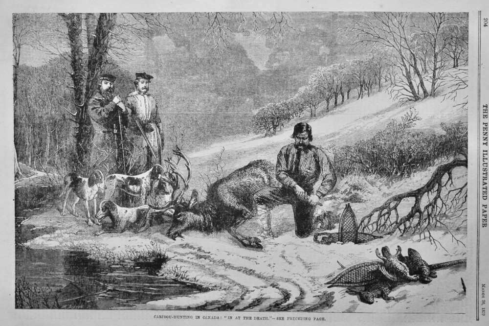 Caribou Hunting in Canada :  "In at the Death."   1870.