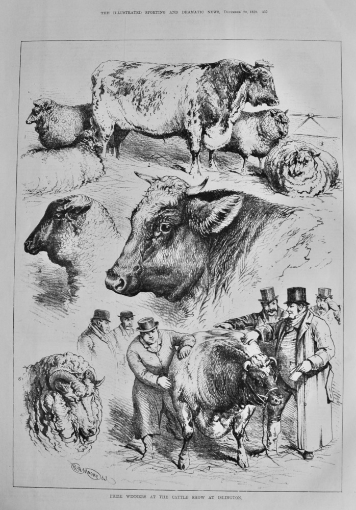 Prize Winners at the Cattle Show at Islington.  1879.
