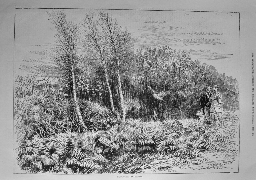 Woodcock Shooting.  1879.