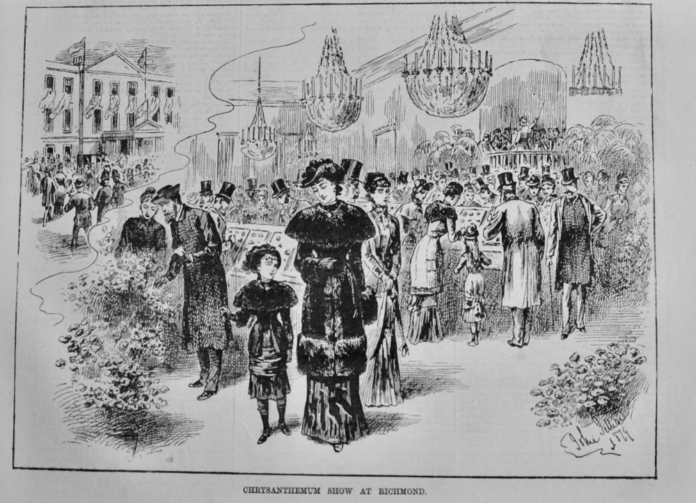 Chrysanthemum Show at Richmond.  1879.