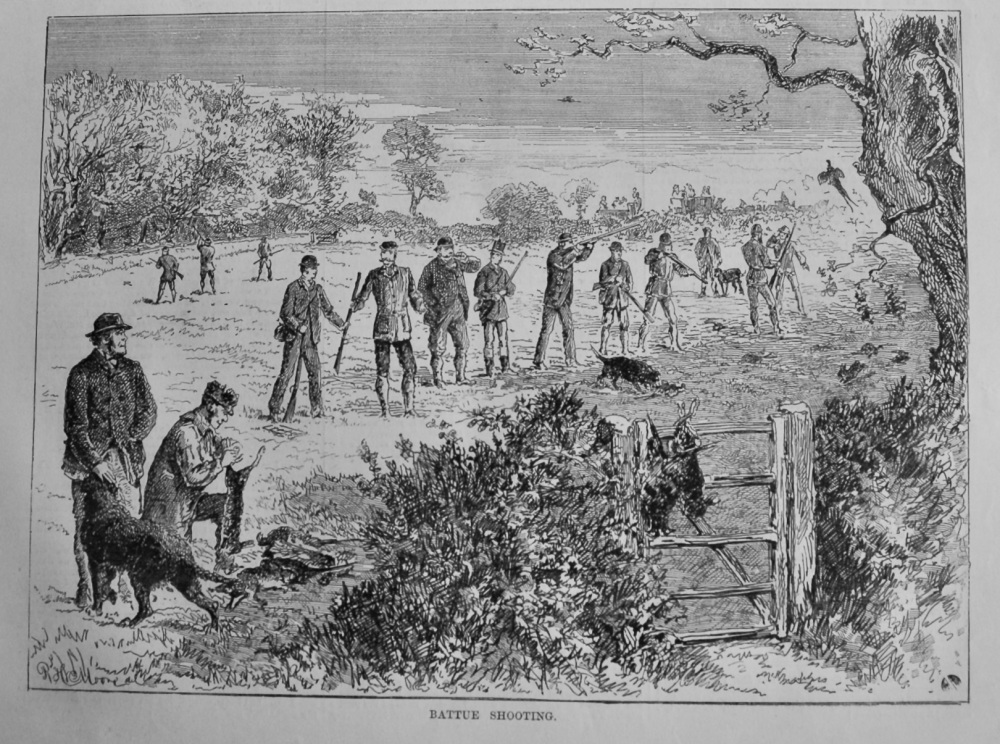 Battue Shooting.  1879.