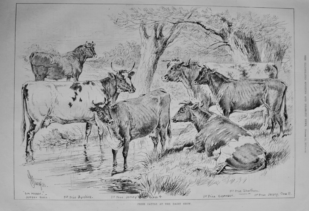 Prize  Cattle at the Dairy Show.  1879.