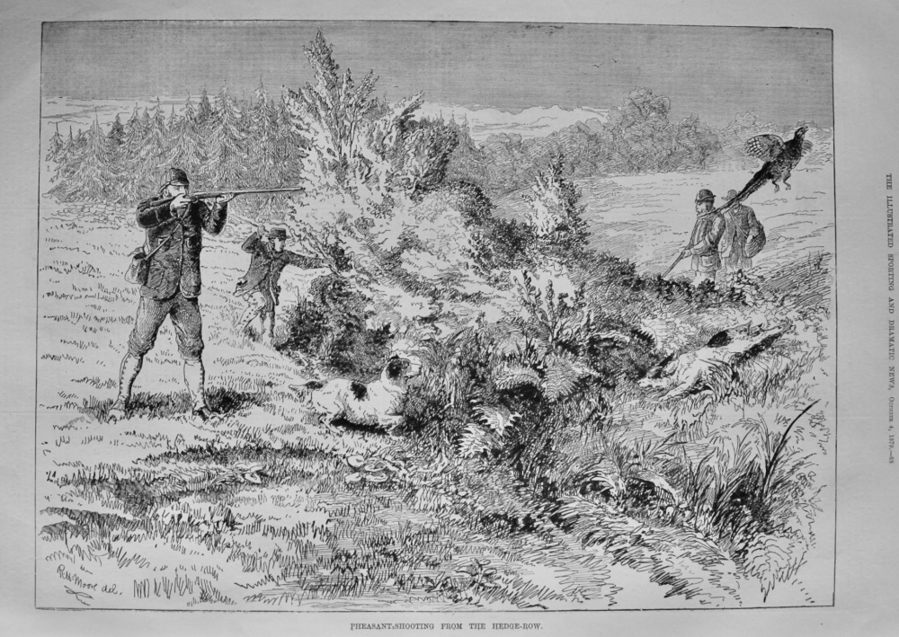 Pheasant Shooting from the Hedge-Row.  1879.
