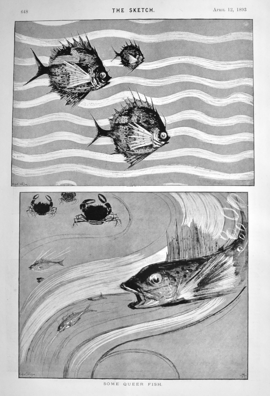 Some Queer Fish.  1893.
