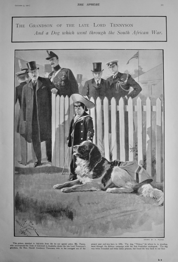The Grandson of the Late Lord Tennyson : And a Dog which went through the South African War.  1901.