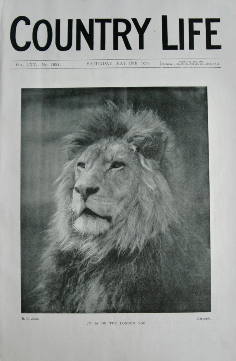 Country Life - May 18, 1929