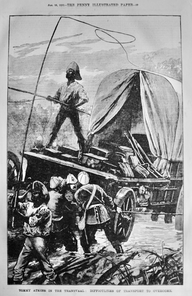Tommy Atkins in the Transvaal :  Difficulties of Transport to Overcome.  1881.