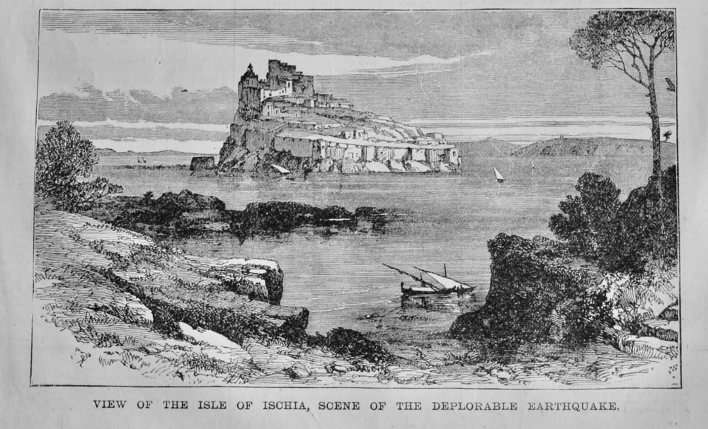 View of the Isle of Ischia, Scene of the Deplorable Earthquake.  1881.