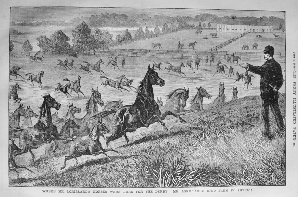 Where Mr. Lorillard's Horses were Bred for the Derby :  Mr. Lorillard's Stud Farm in America.  1881.