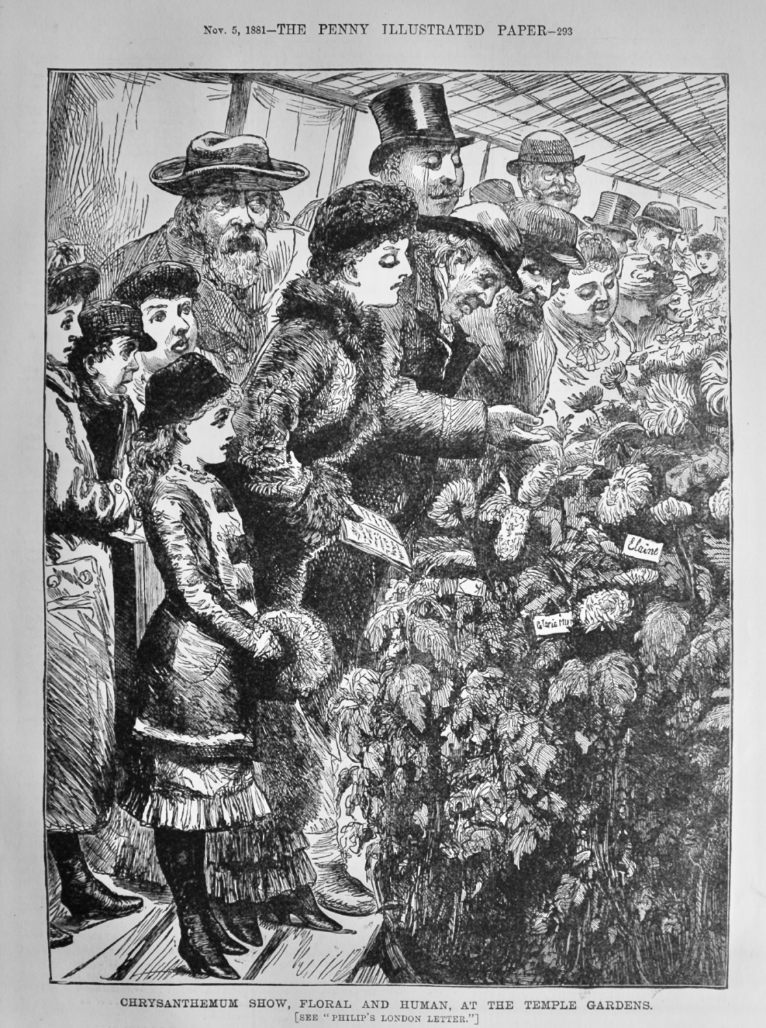 Chrysanthemum Show, Floral and Human, at the Temple Gardens.  1881.