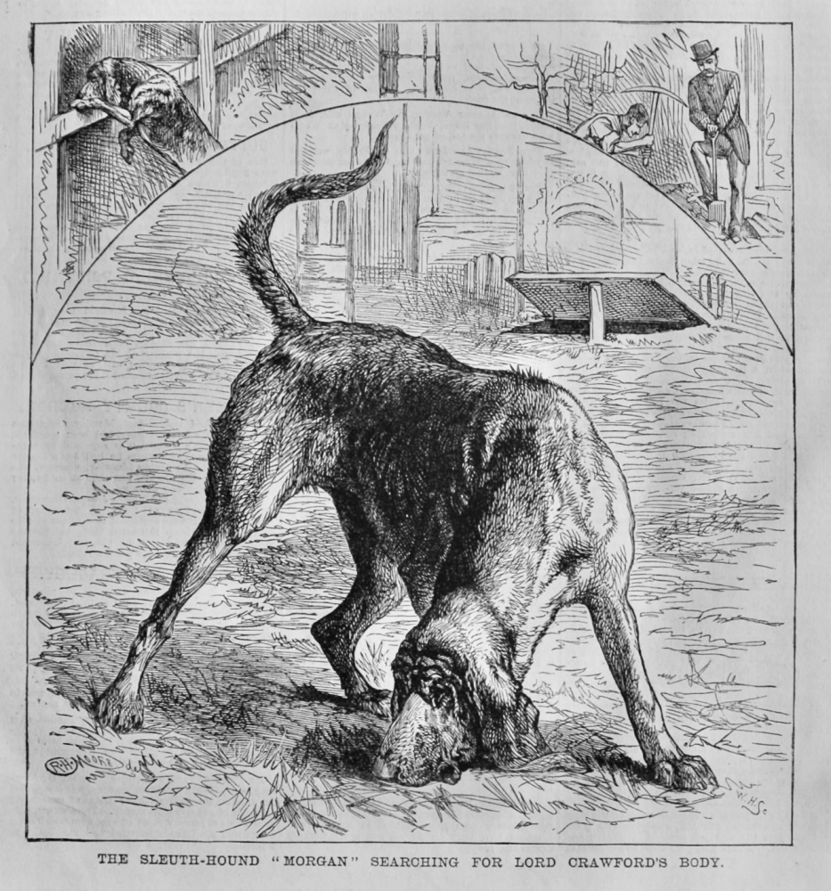 The Sleuth-Hound "Morgan" Searching for Lord Crawford's Body.  1881.