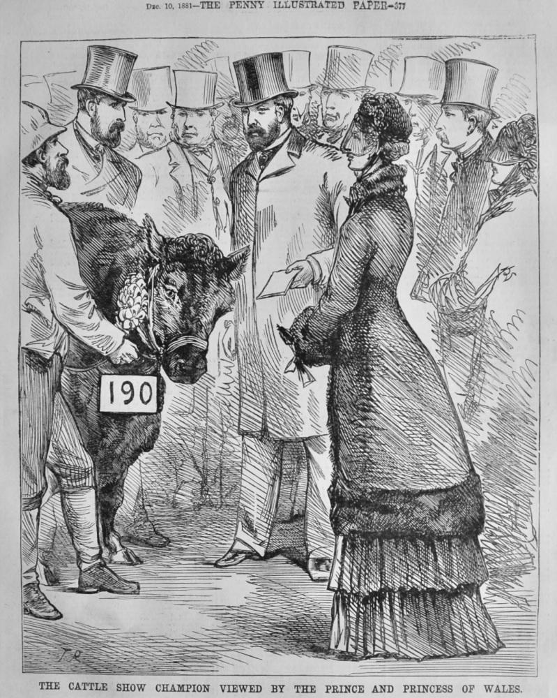 The Cattle Show Champion Viewed by the Prince and Princess of Wales.  1881.