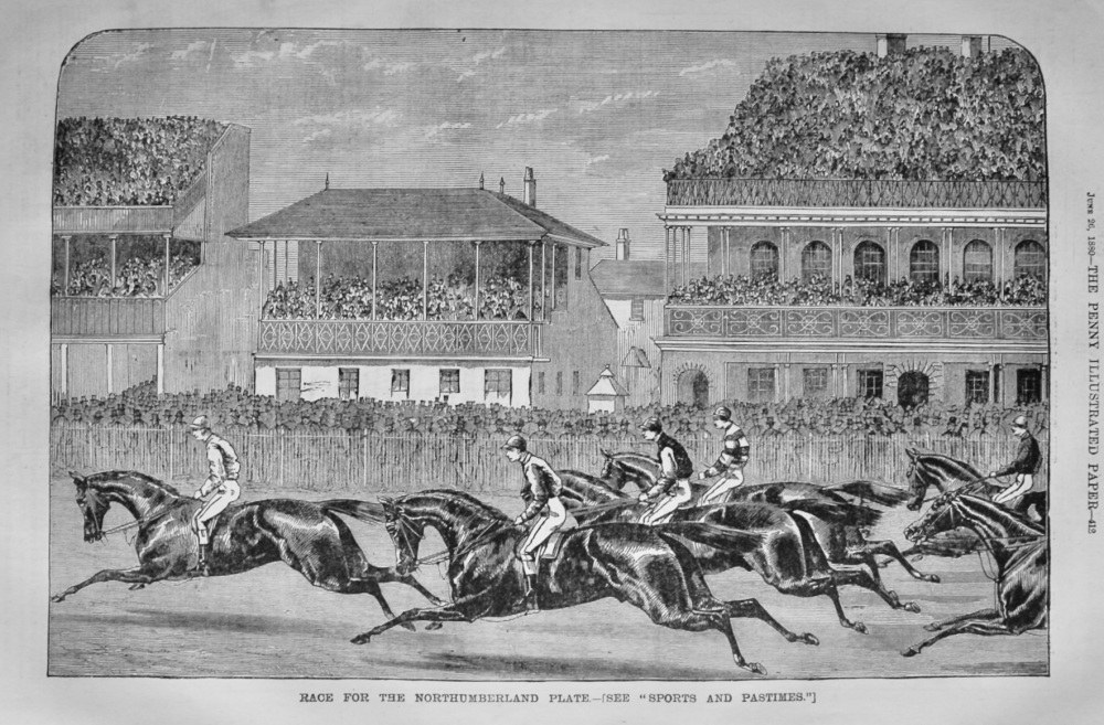 Race for the Northumberland Plate. 1880.