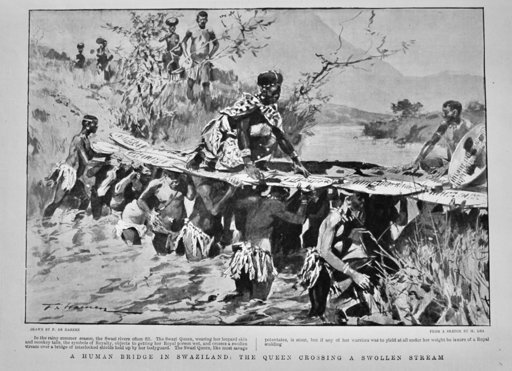 A Human Bridge in Swaziland :  The Queen Crossing a Swollen Stream.  1900.