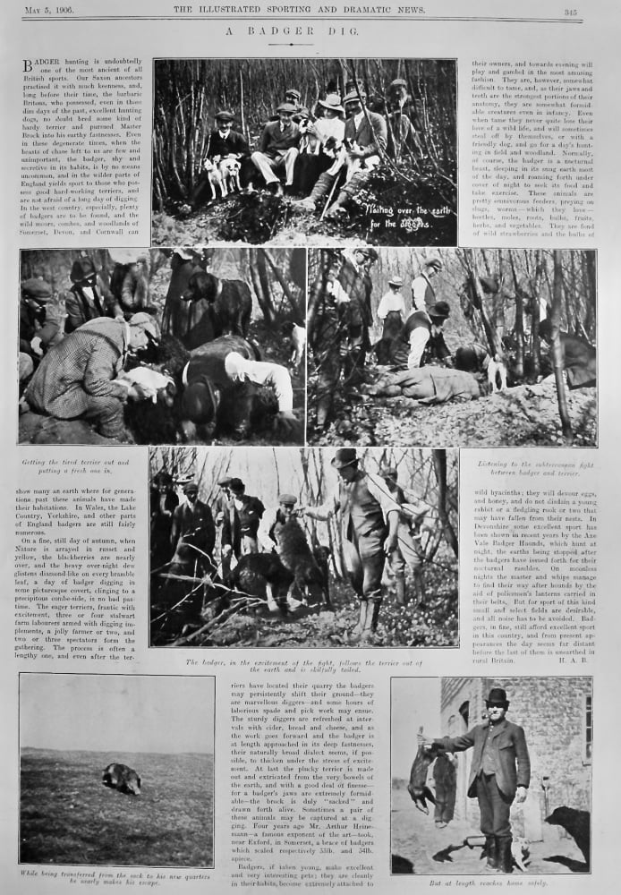 A Badger Dig.   (Article).  1906.