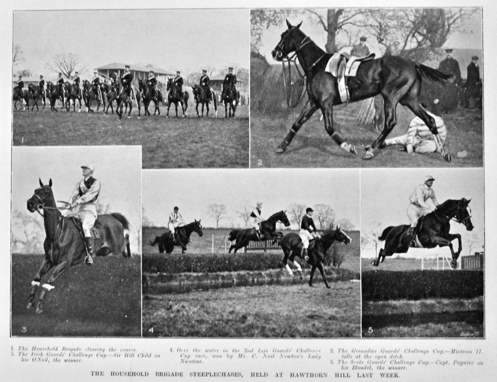 The Household Brigade Steeplechases, Held at Hawthorn Hill Last Week.  1906.