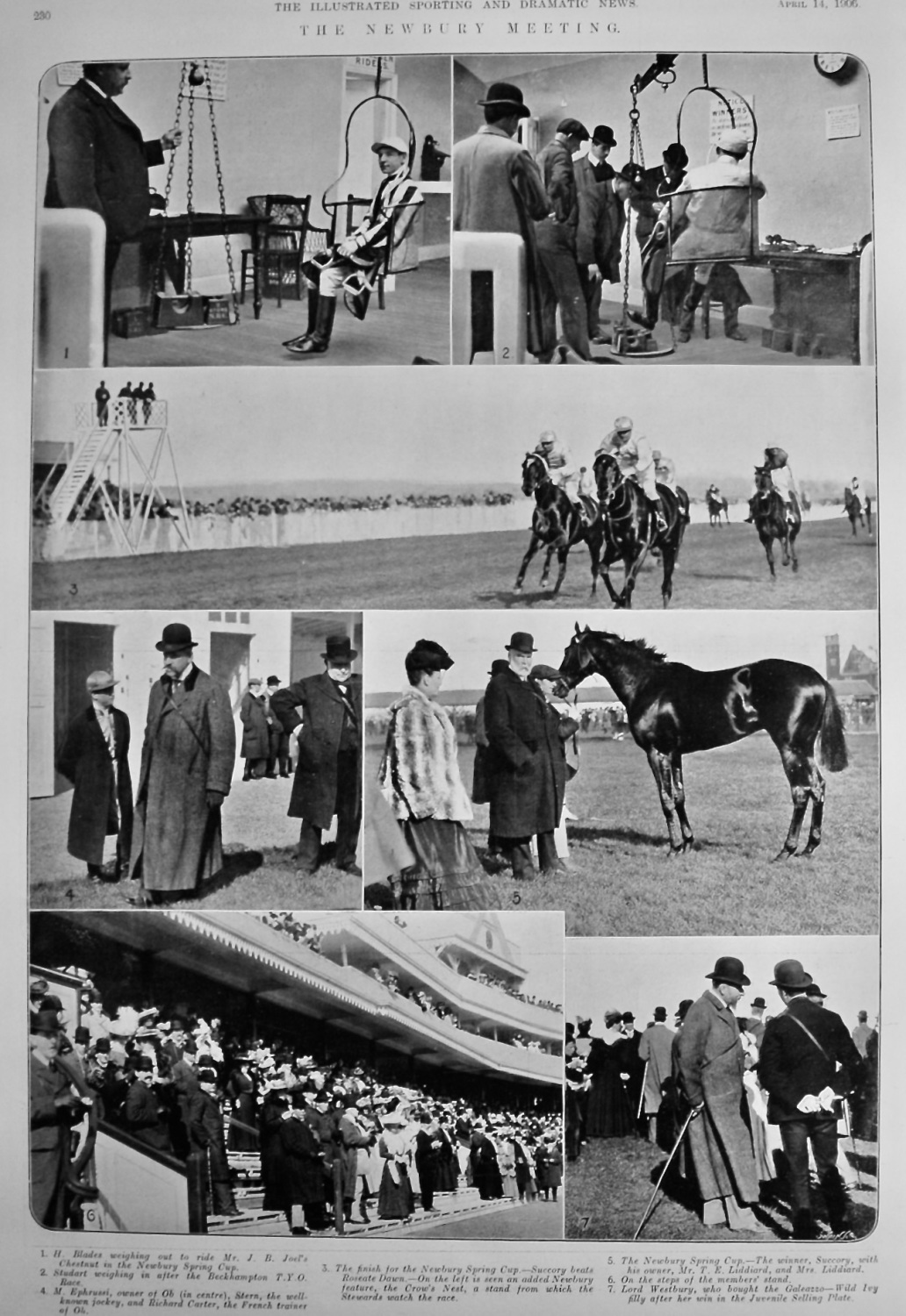 The Newbury Meeting. (Spring 1906).