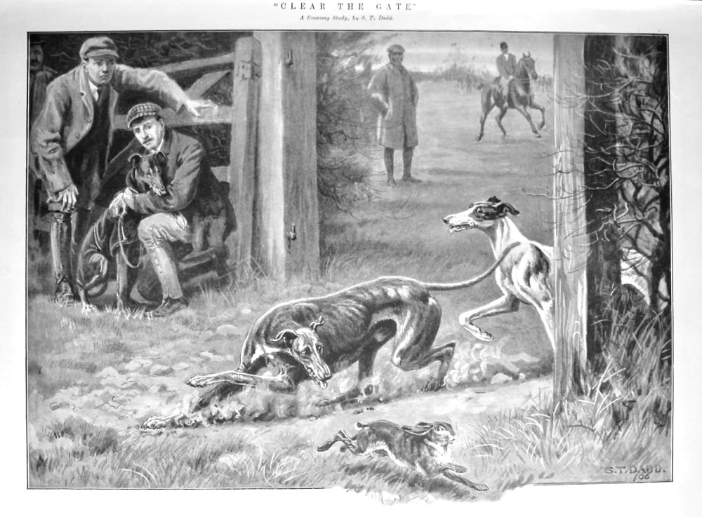 "Clear the Gate."  : A Coursing Study.  1906.