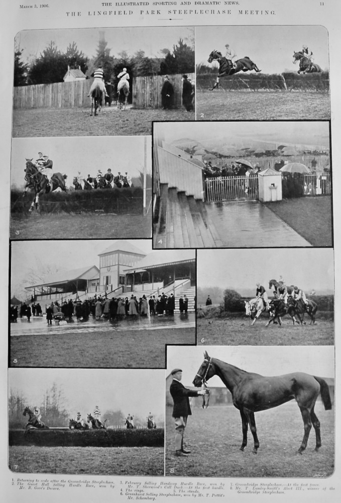 The Lingfield Park Steeplechase Meeting.  1906.
