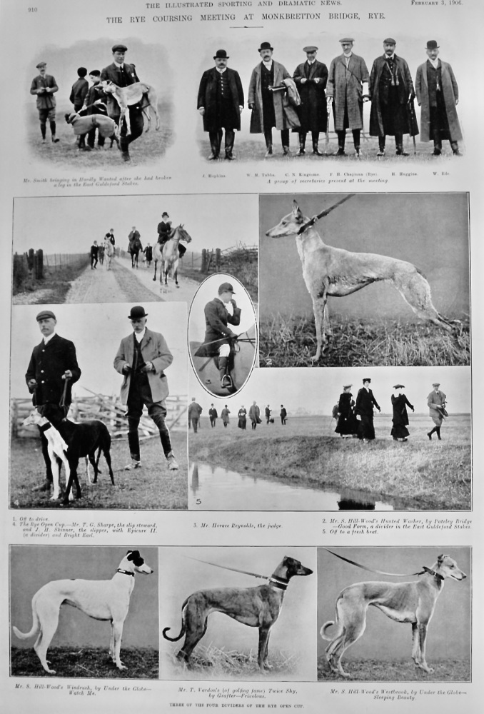 The Rye Coursing Meeting at Monkbretton Bridge, Rye.  1906.