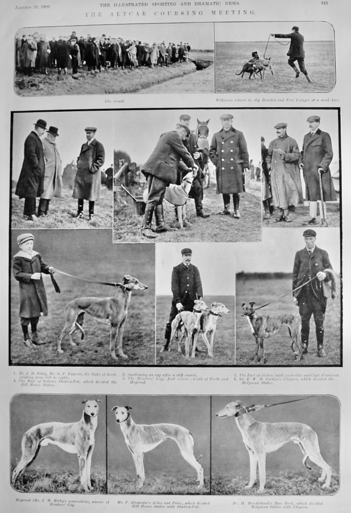 The Altcar Coursing Meeting.  1906.