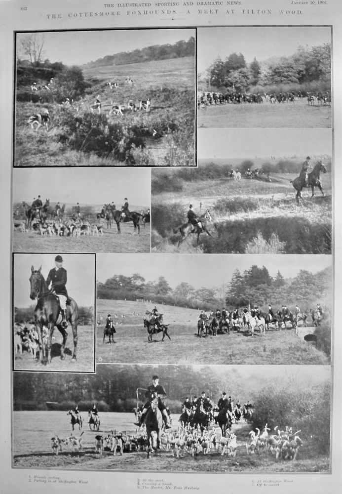 The Cottesmore Foxhounds.- A Meet at Tilton Wood.  1906.