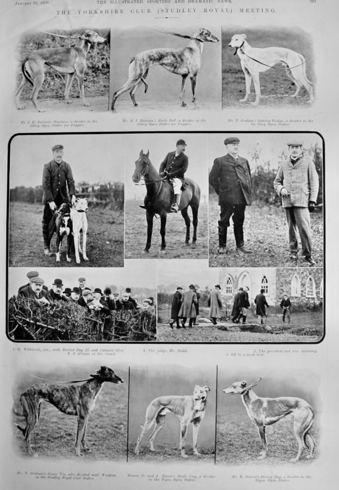 The Yorkshire Club (Studley Royal) Meeting. (Coursing) 1906.