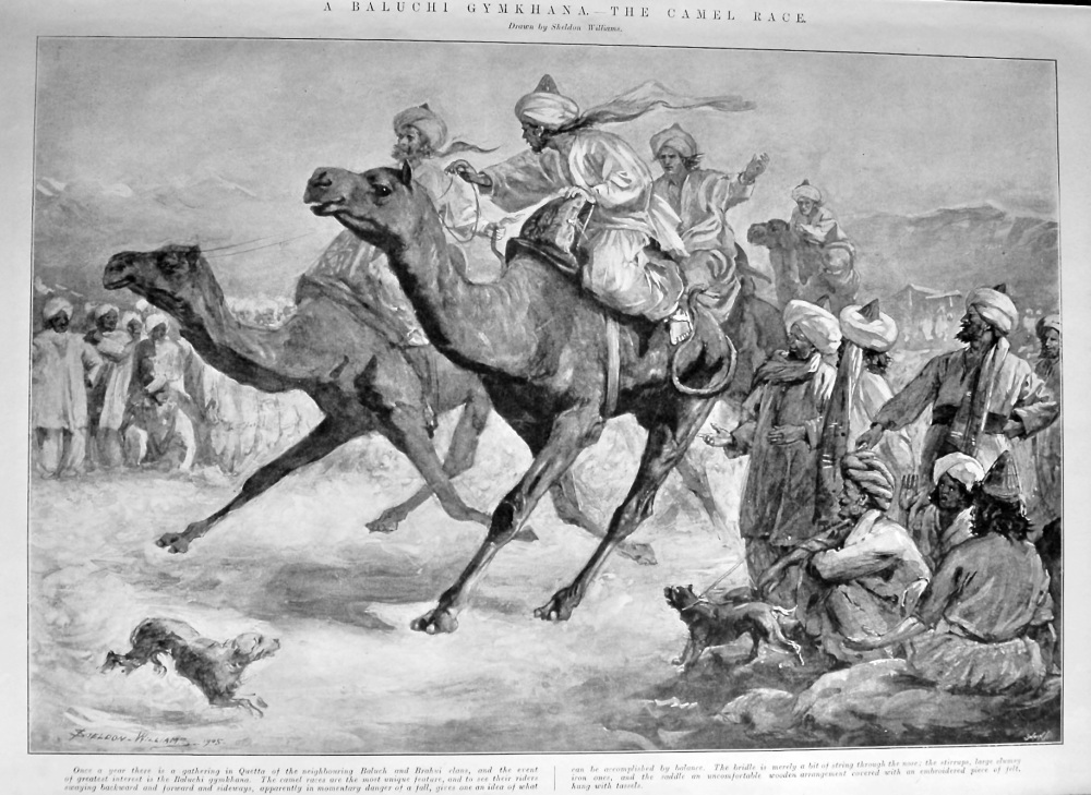 A Baluchi Gymkhana.- The Camel Race.  1906.