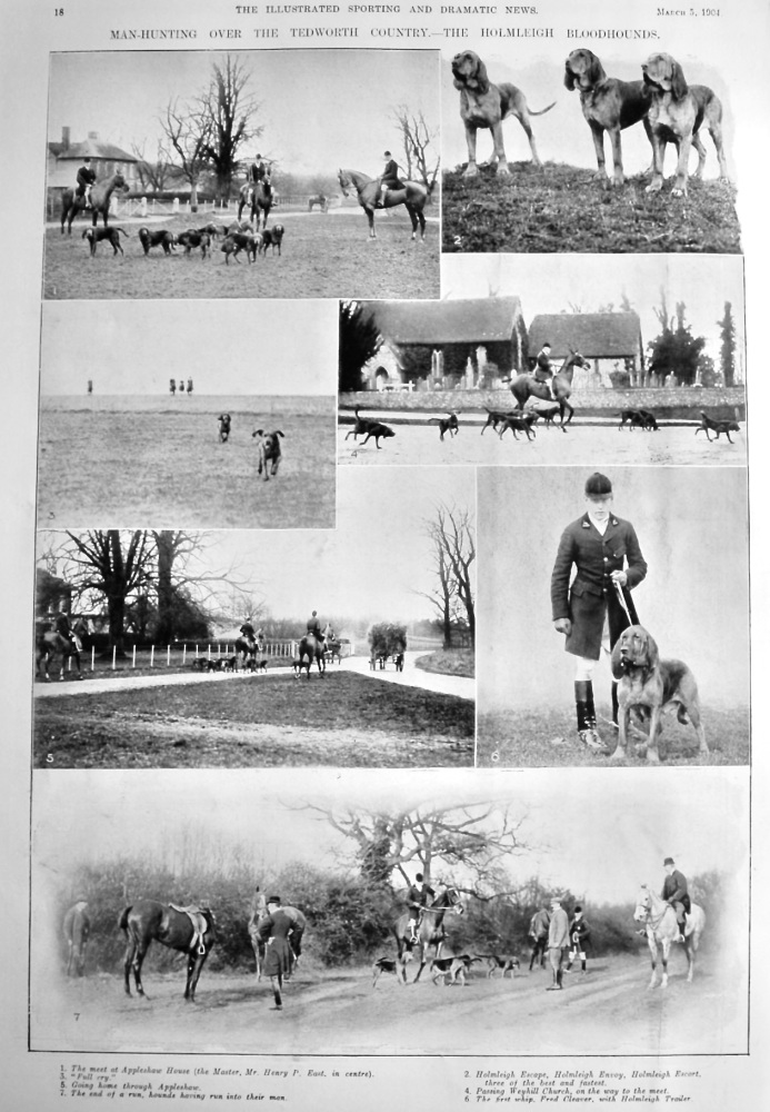 Man-Hunting over the Tedworth Country.- The Holmleigh Bloodhounds.  1904.