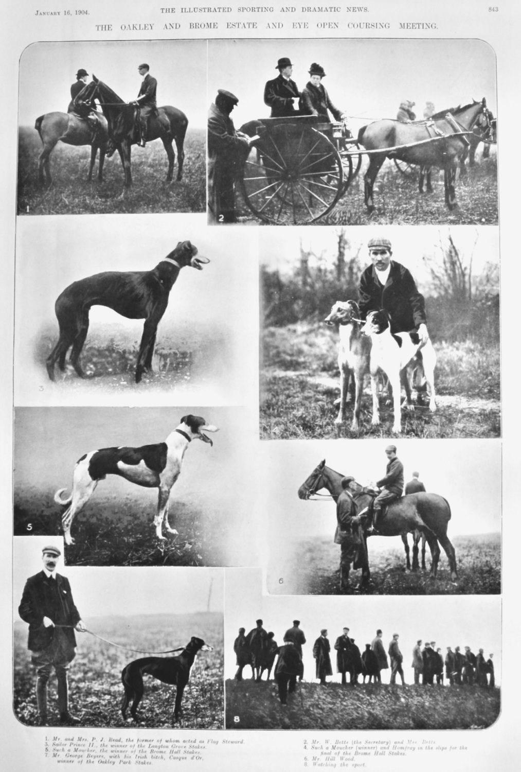 The Oakley and Brome Estate and Eye Open Coursing Meeting.  1904.