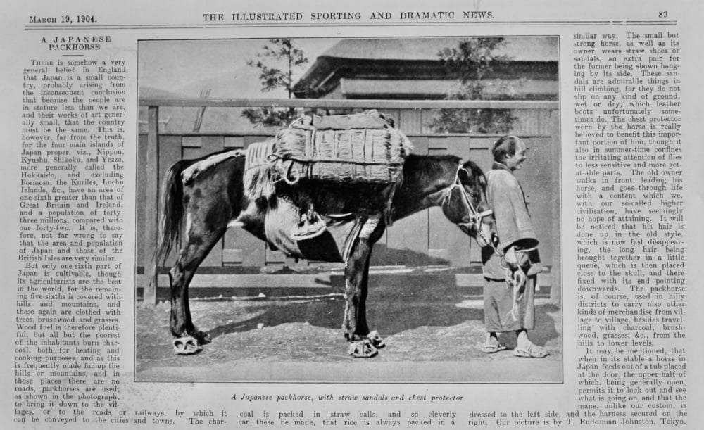 A Japanese Packhorse.  1904.