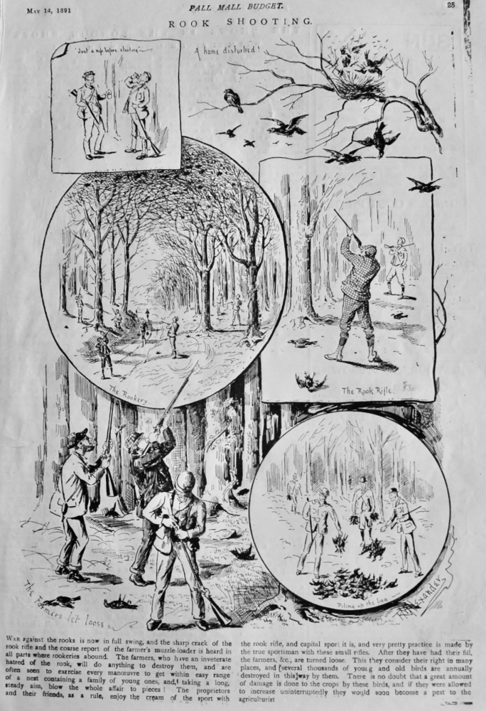 Rook Shooting.  1891.