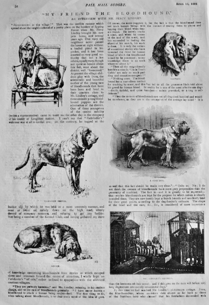 "My Friend the Bloodhound." : An Interview with Mr. Percy Lindley.  1891.