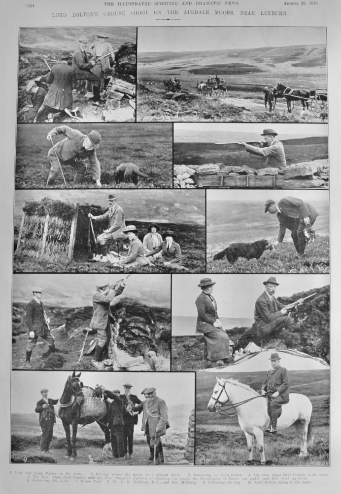 Lord Bolton's Grouse Shoot on the Apedale Moors, near Leyburn.  1913.