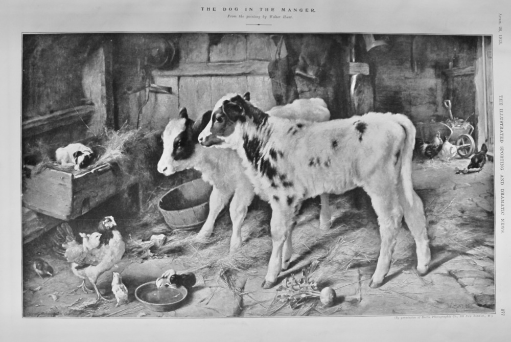 The Dog in the Manger.  1913.
