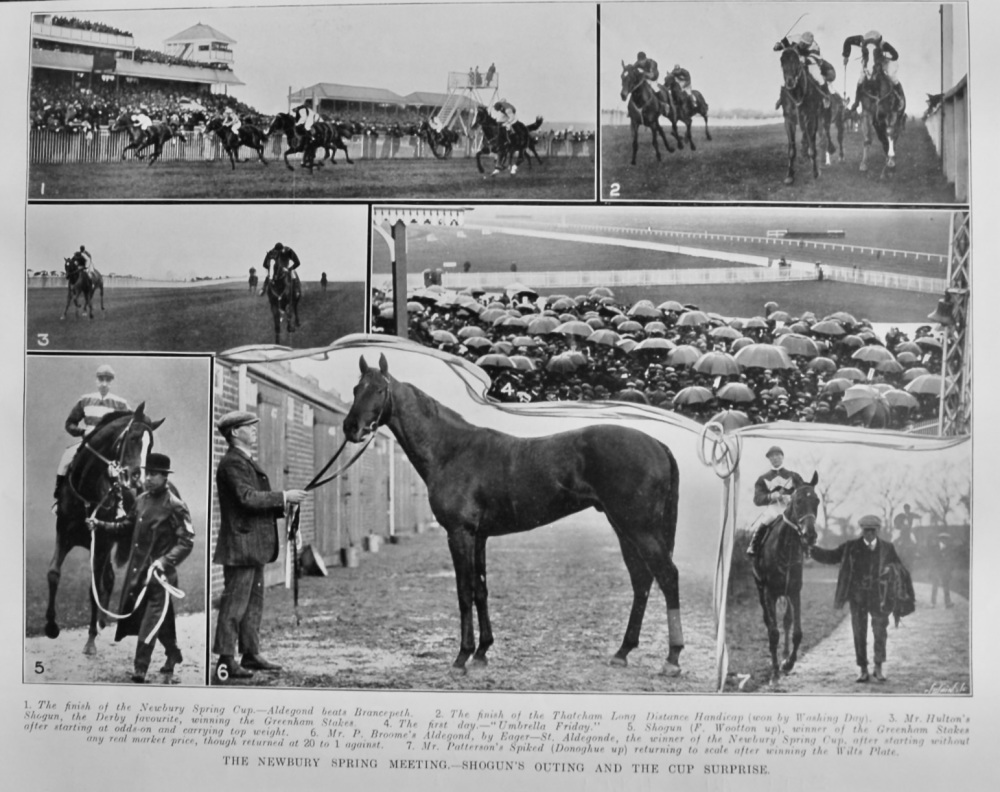 The Newbury Spring Meeting.- Shogun's Outing and the Cup Surprise.  1913.
