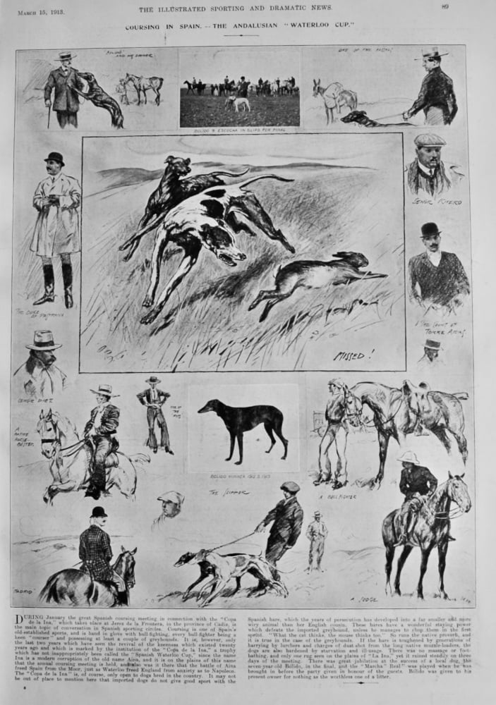 Coursing in Spain.- The Andalusian "Waterloo Cup."  1913.