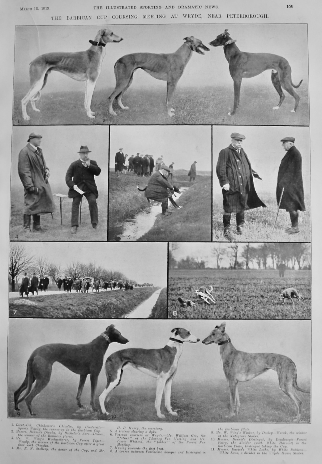 The Barbican Cup Coursing Meeting at Wryde, near Peterborough.  1913.