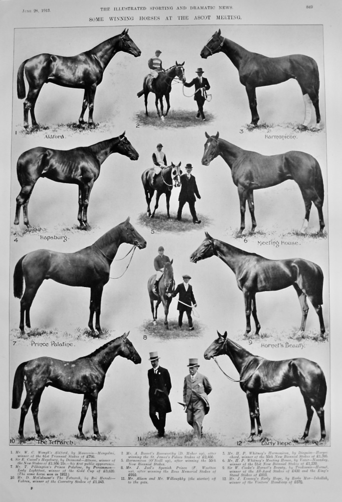 Some Winning Horses at the Ascot Meeting.  1913.