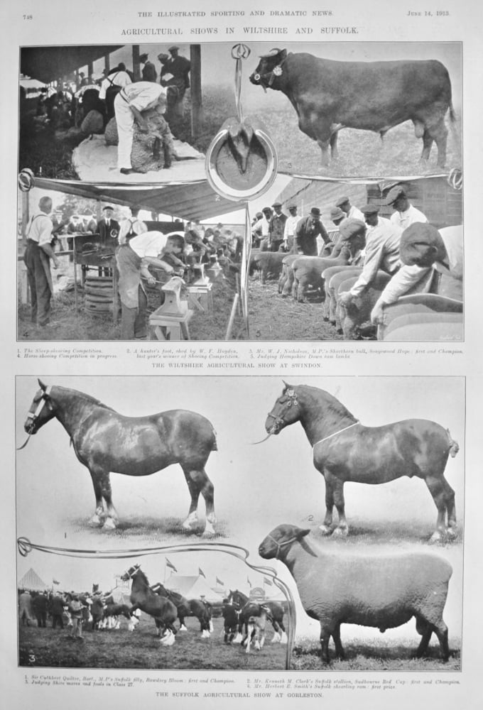 Agricultural Shows in Wiltshire and Suffolk.  1913.