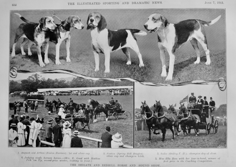 The Reigate and Redhill Horse and Hound Show.  1913.