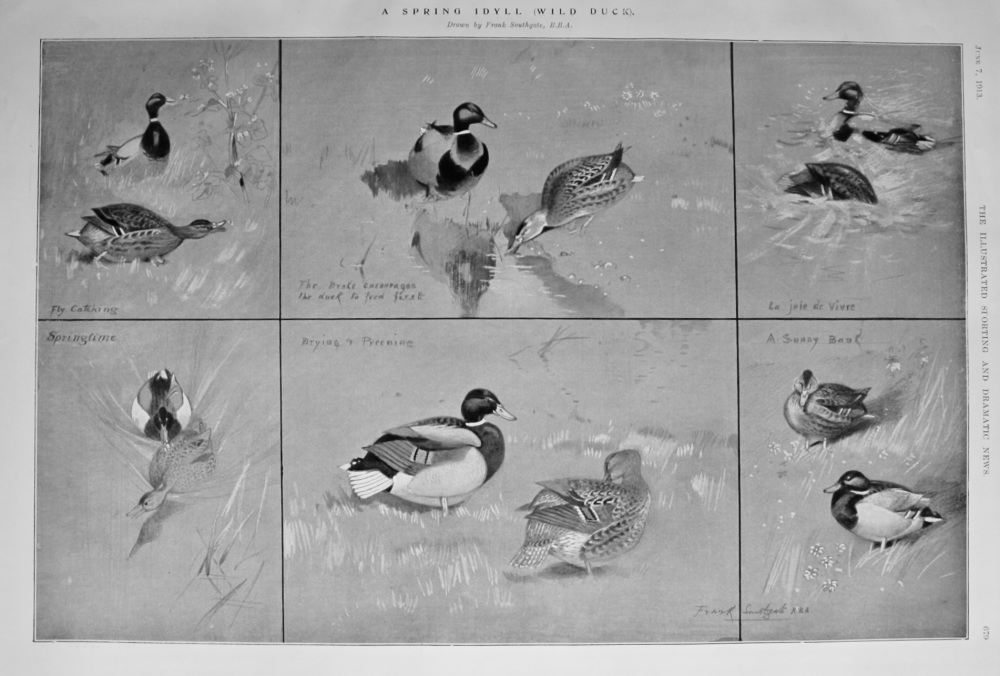 A Spring Idyll  (Wild Ducks).  1913.