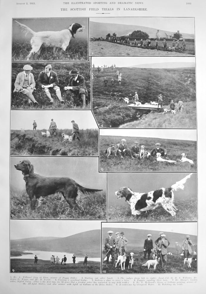 The Scottish Field Trials in Lanarkshire.  1913.