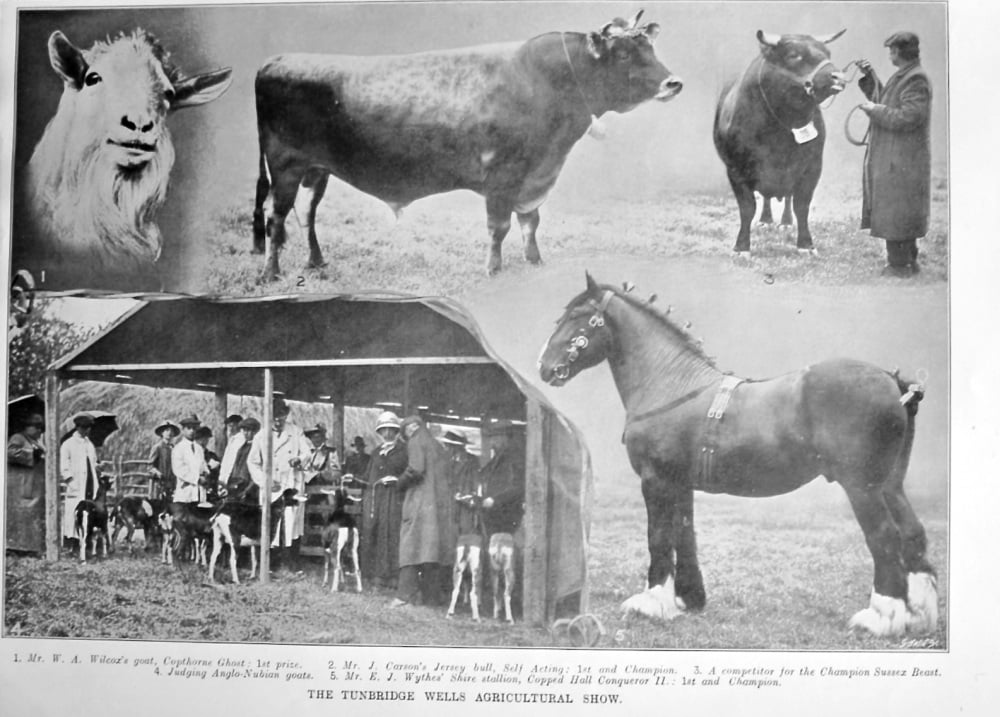 The Tunbridge Wells Agricultural Show.  1913.